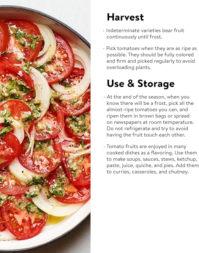 Burpee 'Big Mama' Hybrid, Large Red Paste Tomato, 50 Non-GMO Seeds