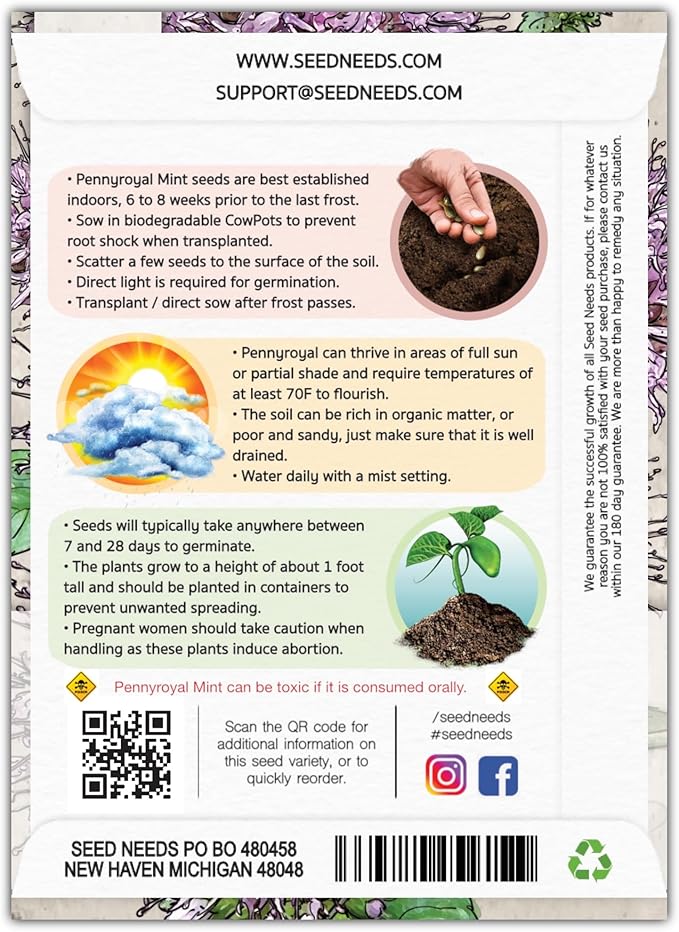 Seed Needs, Pennyroyal Mint Seeds - 1,000 Heirloom Seeds for Planting Mentha pulegium - Medicinal Herb Non-GMO & Untreated for Indoor/Outdoor Gardens (2 Packs)