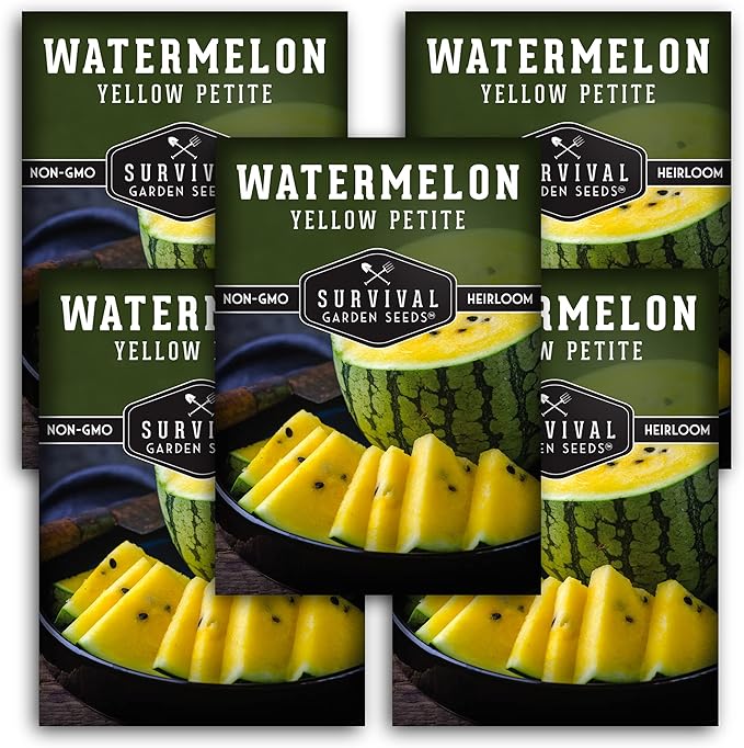 Survival Garden Seeds - Yellow Petite Watermelon Seed for Planting - 5 Packs with Instructions to Plant and Grow Small Yellow Watermelons in Your Home Vegetable Garden - Non-GMO Heirloom Variety