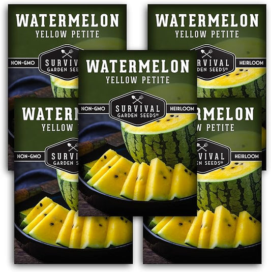 Survival Garden Seeds - Yellow Petite Watermelon Seed for Planting - 5 Packs with Instructions to Plant and Grow Small Yellow Watermelons in Your Home Vegetable Garden - Non-GMO Heirloom Variety