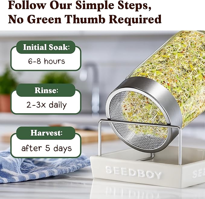 Organic Sprouting Seeds - Salad Blend Variety- Non-GMO, USA Grown Microgreens Mix - Alfalfa, Broccoli, Radish, Mung Bean, Lentil - Makes 8 Quarts of Sprouts, 24 Servings (8 oz) (Salad Blend)