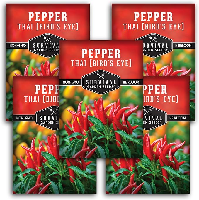 Survival Garden Seeds - Thai Pepper Seed for Planting - 5 Packets with Instructions to Plant & Grow Spicy Hot Bird's Eye Chili Peppers in Your Home Vegetable Garden - Non-GMO Heirloom Variety