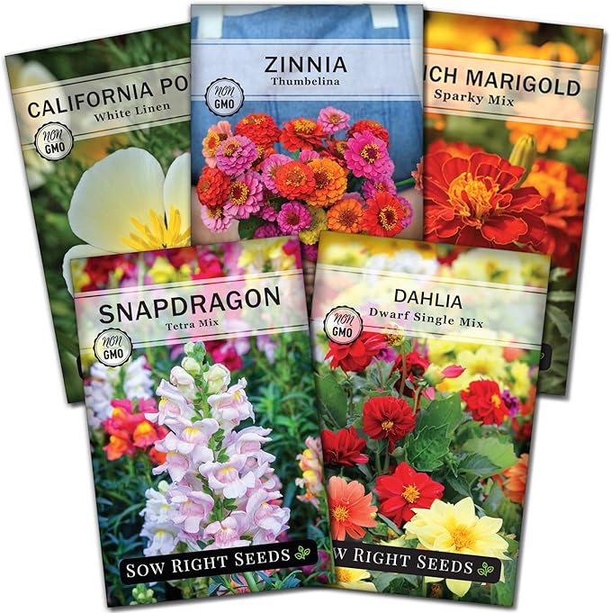 Sow Right Seeds - Dwarf Flower Seed Collection for Planting - Individual Packets of Zinnia Thumbelina, White Linen Poppy, Tetra Snapdragon, Dwarf Dahlia, and Sparky Marigold Non-GMO Heirloom Seeds