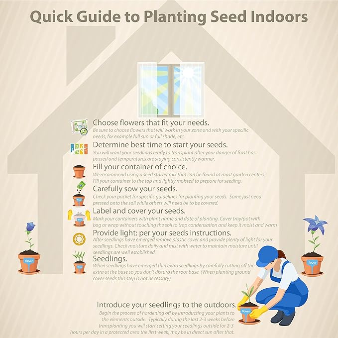 Outsidepride 1000 Seeds Annual Gomphrena Globosa Flower Seed Mix for Planting