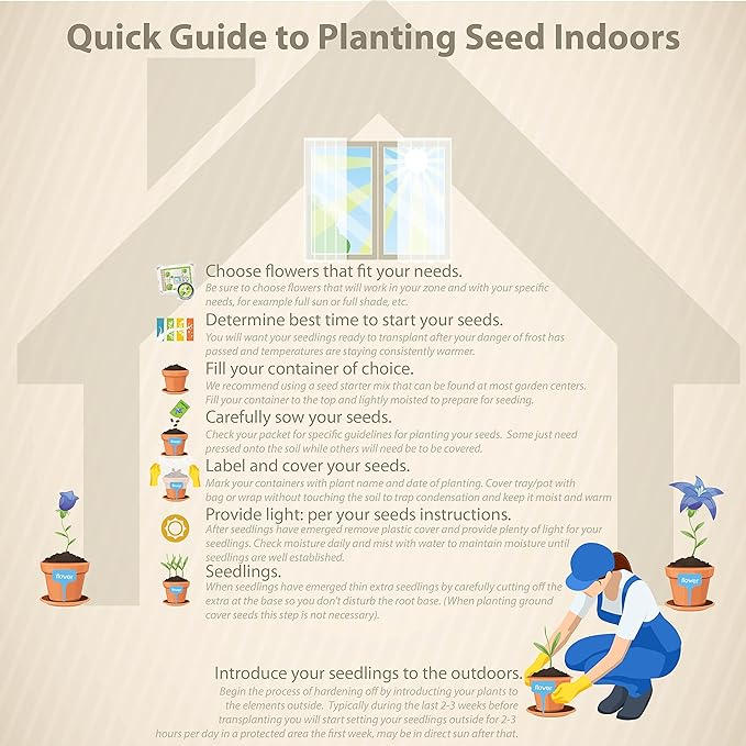 Outsidepride 1000 Seeds Annual Nigella White Love-in-a-Mist Flower Seeds for Planting