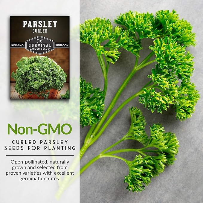 Survival Garden Seeds - Curled Parsley Seed for Planting - 3 Packs with Instructions to Plant and Grow Nutritious Curly Parsley Herb Plants in Your Home Vegetable Garden - Non-GMO Heirloom Variety
