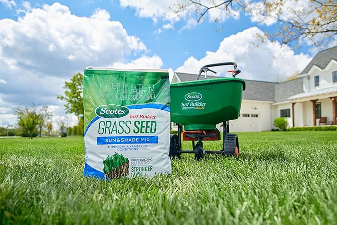 Scotts 18057 Grass Seed, 16 lb, Green