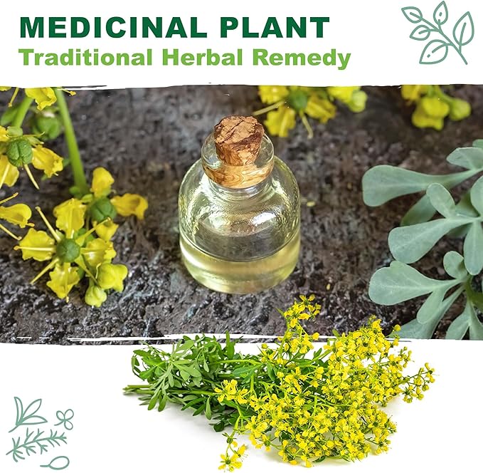 TKE Farms & Gardens - Rue Seeds for Planting, 1 Gram, 500 Heirlooom Seeds, Non-GMO, Instructions Included, Ruta graveolens, Qty 1