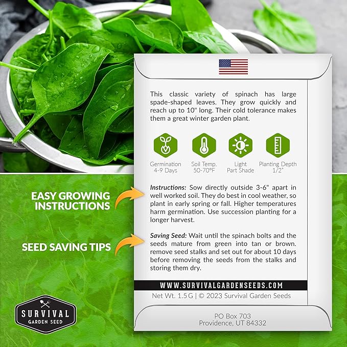 Survival Garden Seeds - Viroflay Spinach Seed for Planting - Packet with Instructions to Plant and Grow Nutritious Leafy Greens in Your Home Vegetable Garden - Non-GMO Heirloom Variety - 1 Pack