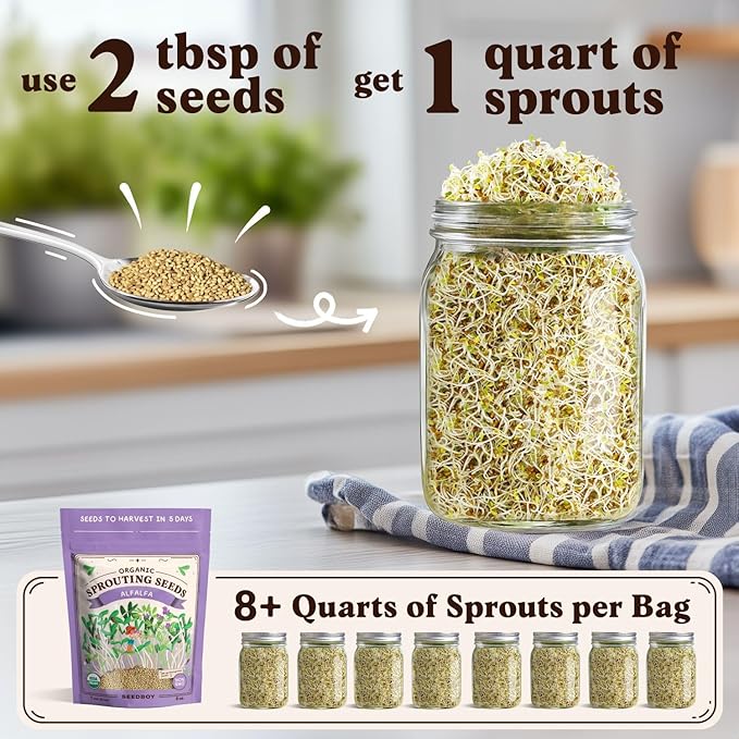 Organic Alfalfa Seeds for Sprouting - Non-GMO, USA Grown Alfalfa Microgreens Sprouting Seeds Mix - Makes 8 Quarts of Sprouts, 24 Servings (8 oz) (Alfalfa)