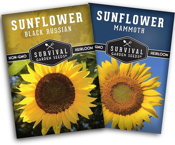 Survival Garden Seeds Edible Sunflower Seeds Vault – Gigantic Flowers with Delicious Seeds - Oil-Rich Mammoth & Black Russian Sunflower Seeds - Non-GMO Heirloom for Planting & Growing