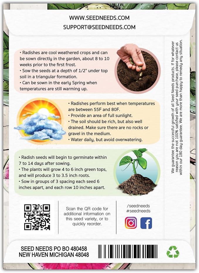 Seed Needs Watermelon Radish Seeds for Planting - Non-GMO, Heirloom & Untreated - Organically Grow a Home Grown Vegetable Garden - Cool Weather Crops (1 Pack)