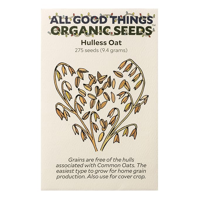 All Good Things Organic Hulless Oat Seeds - Pack of 275, Heirloom Seeds for Planting Grains, Vegetables - Gardening Supplies, Vegetable Garden - Non-GMO, Open Pollinated, from USA