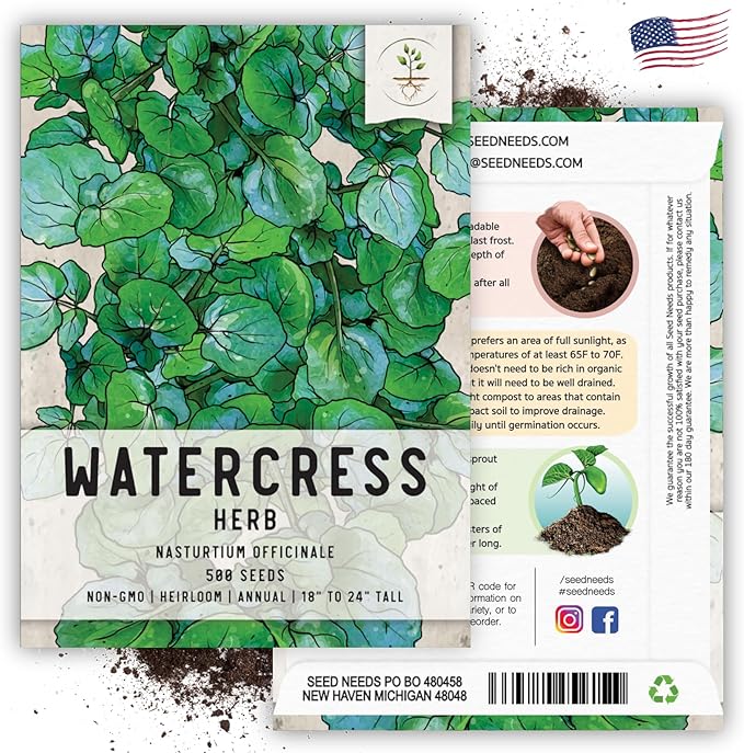 Seed Needs Watercress Seeds for Planting - Non-GMO, Heirloom & Untreated - Organically Grow Your own Culinary Herb Garden Indoors or Outdoors (1 Pack)