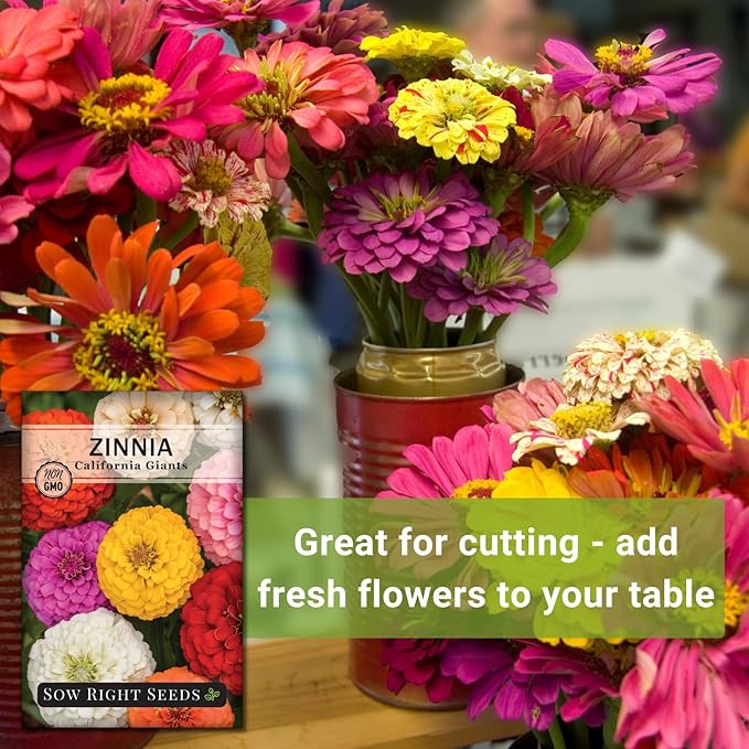 Sow Right Seeds - California Giants Mix Zinnia Seeds for Planting - Non-GMO Heirloom Packet to Grow Your Flower Garden - Attract Bees and Butterflies - Great to Cut and Come Again - Summer Annual (3)