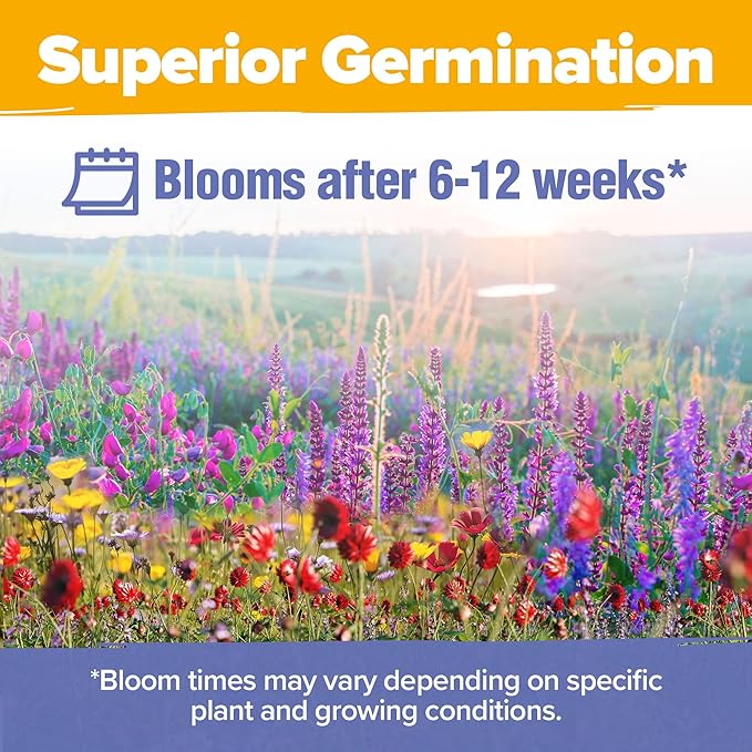 HOME GROWN Midwest Wildflower Seeds Mix 4oz | 65,000 Non-GMO, USA Sourced, High Germination Rate | Heirloom Pollinator Flowers Seed Mix | Wild Flower Seeds Bulk | Covers 500 sq. ft.