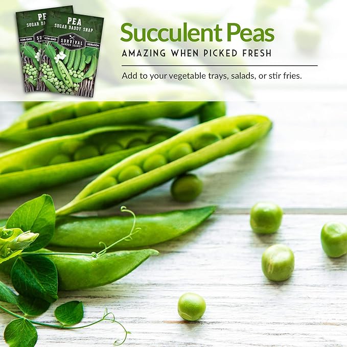 Survival Garden Seeds - Sugar Daddy Snap Pea Seeds for Planting – 1 Packet with Instructions to Grow Delicious Pea Pods in Your Home Vegetable Garden – Non-GMO Heirloom Vegetable Seeds