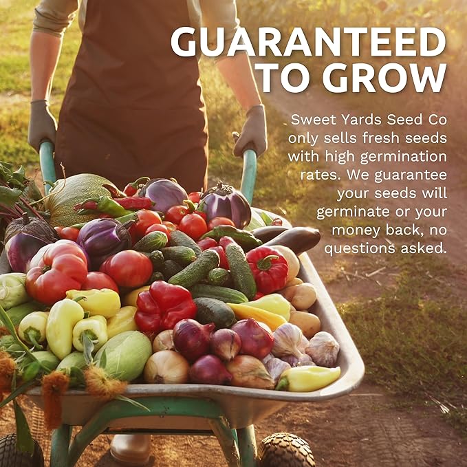 Organic Italian Garden Seeds Variety Pack - 12 Individual Packs - 2025 Season - Genovese Basil, Italian Giant Parsley, Chioggia Beet & More! for Indoor & Outdoor Planting (Non-GMO, Certified Organic)