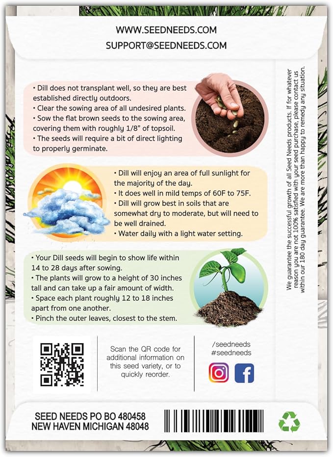 Seed Needs, Bouquet Dill Seeds - 250 Heirloom Seeds for Planting Anethum graveolens - Culinary Herb to Grow Indoors or Outdoors, Non-GMO & Untreated (2 Packs)