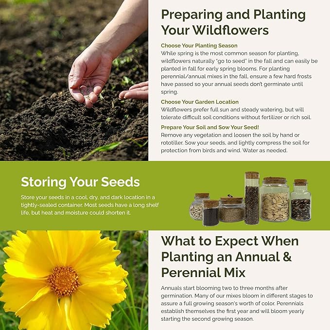 Eden Brothers Hawaii Wildflower Mixed Seeds for Planting, 1 oz, 30,000+ Seeds with Sunflower, Coneflower | Attracts Pollinators, Plant in Spring or Fall, Zones