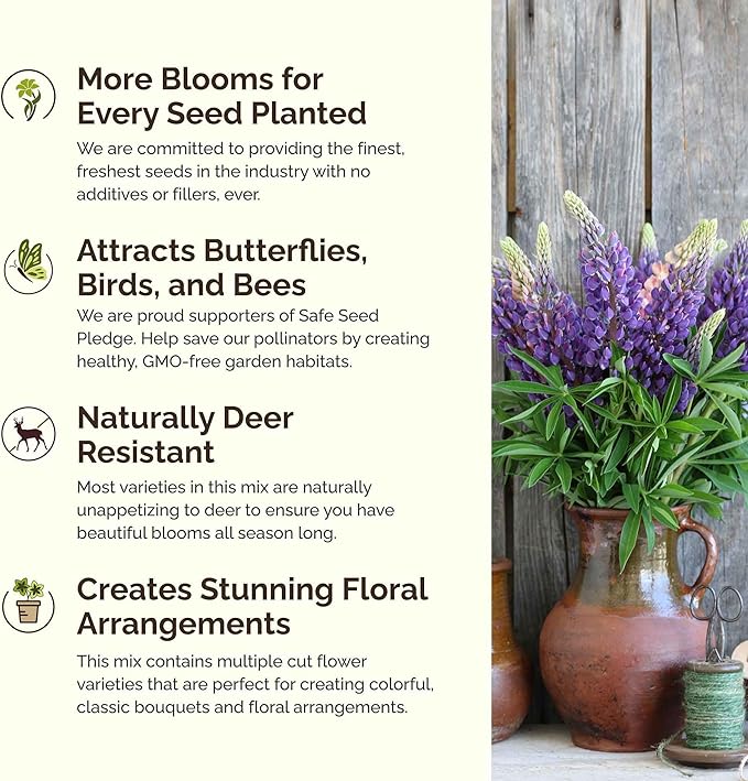 Eden Brothers Northeast All Perennial Wildflower Mixed Seeds for Planting, 1/4 lb, 120,000+ Seeds with Milkweed, NE Aster | Attracts Pollinators, Plant in Spring or Fall, Zones 3, 4, 5, 6, 7, 8, 9, 10