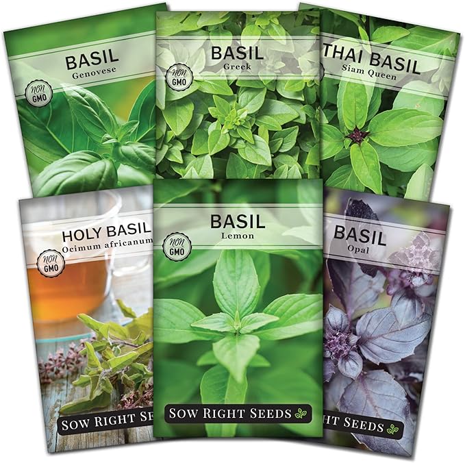Sow Right Seeds - Large Basil Seed Collection for Planting - Genovese, Greek, Opal, Thai, and Lemon Basil - Non-GMO Heirloom Packets to Grow Indoors or Outdoor - Kitchen Herb Gardening f1