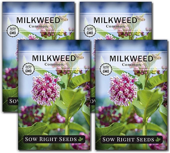Sow Right Seeds - Common Milkweed Seeds for Planting - Attract Monarch Butterflies to Your Garden - Non-GMO Heirloom Seed Packet with Full Instructions to Plant - Perennial Plant for Pollinators (4)