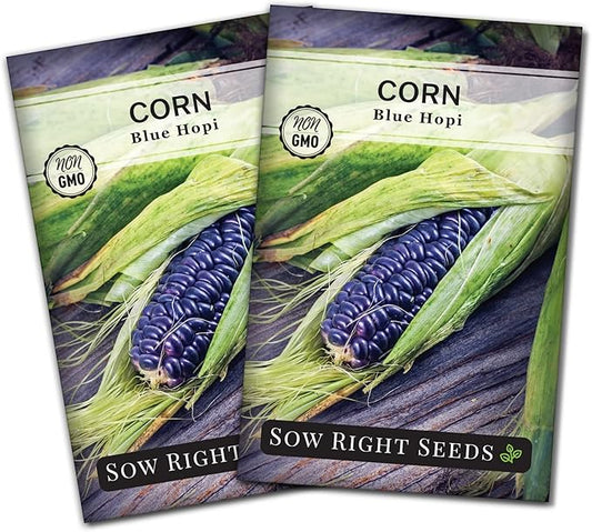 Sow Right Seeds - Blue Hopi Corn Seed for Planting - Non-GMO Heirloom Packet with Instructions to Plant and Grow an Outdoor Home Vegetable Garden - Great for Blue Corn Flour Cooking (2)