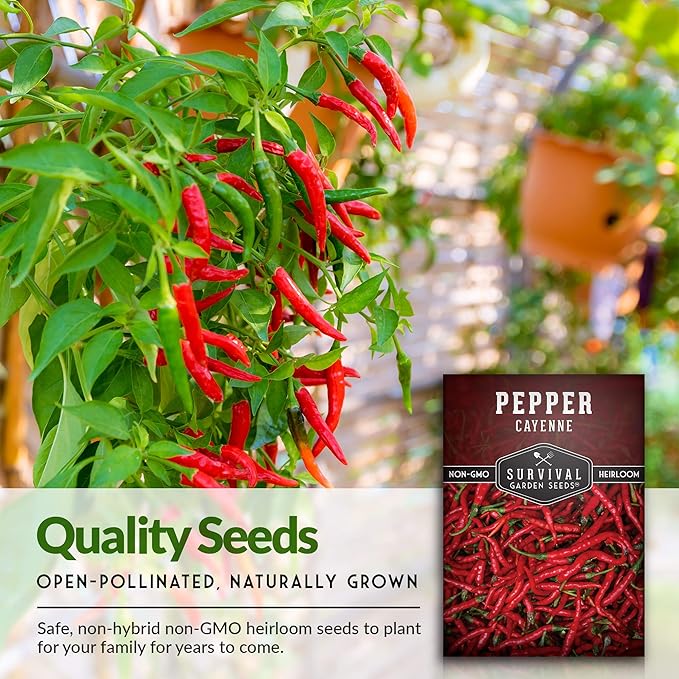 Survival Garden Seeds - Red Cayenne Pepper Seed for Planting - Packet with Instructions to Plant and Grow Hot Chili Peppers in Your Home Vegetable Garden - Non-GMO Heirloom Variety - Single Pack