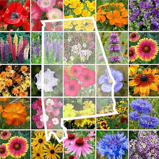 Eden Brothers Alabama Wildflower Mixed Seeds for Planting, 1/4 lb, 120,000+ Seeds with Cornflower, Cosmos, Blanket Flower | Attracts Pollinators, Plant in Spring or Fall, Zones