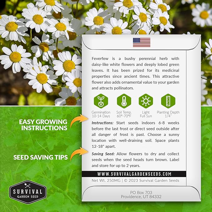 Feverfew Seeds for Planting - 2 Packets with Instructions to Plant and Grow Your Own Bachelor's Buttons in Your Home Vegetable or Herb Garden - Non-GMO Heirloom Variety - Survival Garden Seeds