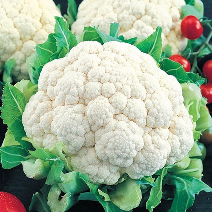 Snowball Cauliflower Seeds for Planting - Non-GMO Heirloom Packet with Instructions to Plant & Grow a Home Outdoor Vegetable Garden (200 Seeds) – Great Gardening Gift, 3 Packets