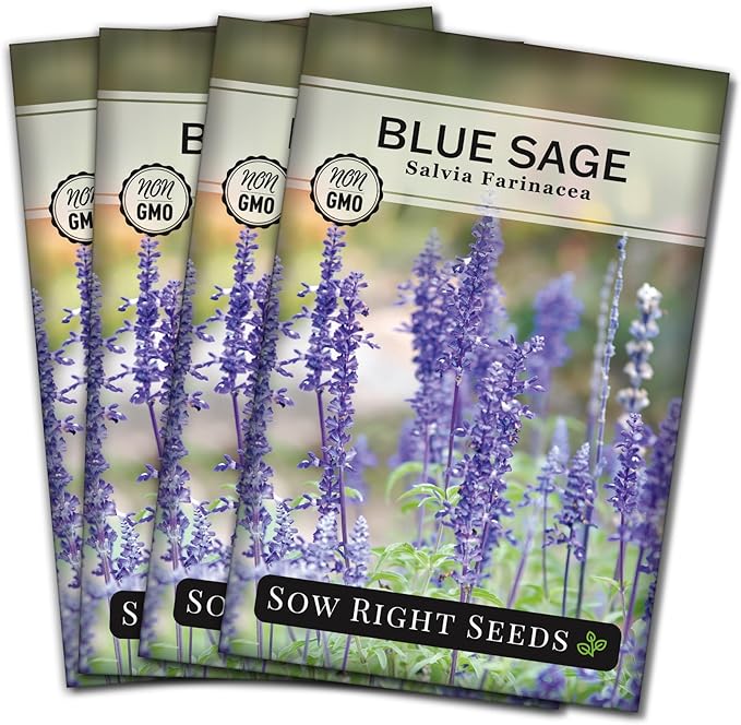 Sow Right Seeds - Blue Sage Wildflower Seed to Plant - Non-GMO Heirloom Seeds - Full Instructions for Planting and Growing Mealycup Sage or Salvia farinacea - Indoors or Outdoor - Gardening Gift (4)