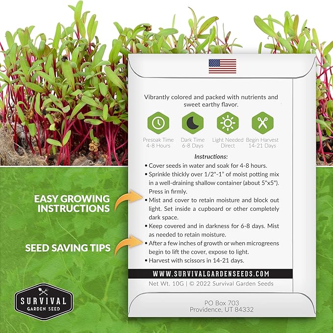 1 Pack Beet Microgreens Seeds for Planting and Growing - Plant Green Leafy Micro Vegetable Plants Indoors - Grow Your Own Mini Windowsill Garden - Non-GMO Heirloom - Survival Garden Seeds