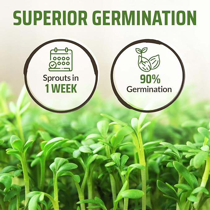 Rooted Acre 8 Varieties Pepper Seeds - Non GMO, USA, Heirloom Hot Pepper Seeds inc Ghost and Jalapeno - High Germinating Pepper Seeds for Planting Home Garden: Serrano, California Wonder, and More