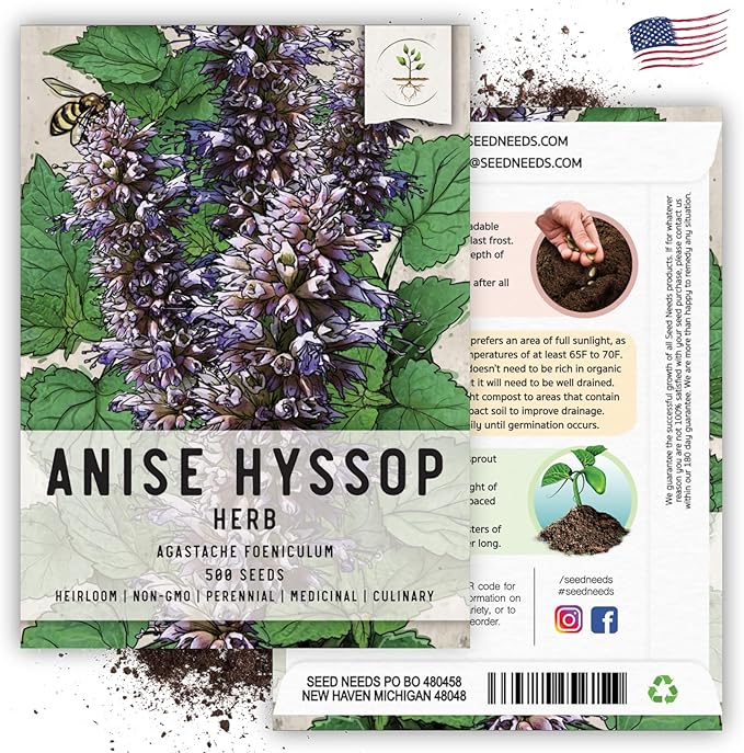 Seed Needs Anise Hyssop Seeds for Planting - Non-GMO, Heirloom & Untreated - Organically Grow a Medicinal/Culinary Herb Garden for Tea & Essential Oils (2 Packs)