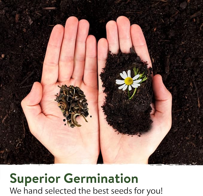 HOME GROWN 49,000+ Wildflower Seeds: (2oz) Bulk Mix, 21 Varieties Wild Flower Mix - Bee and Butterfly Garden Pack - Native Annual Flowers for Planting for Your Garden