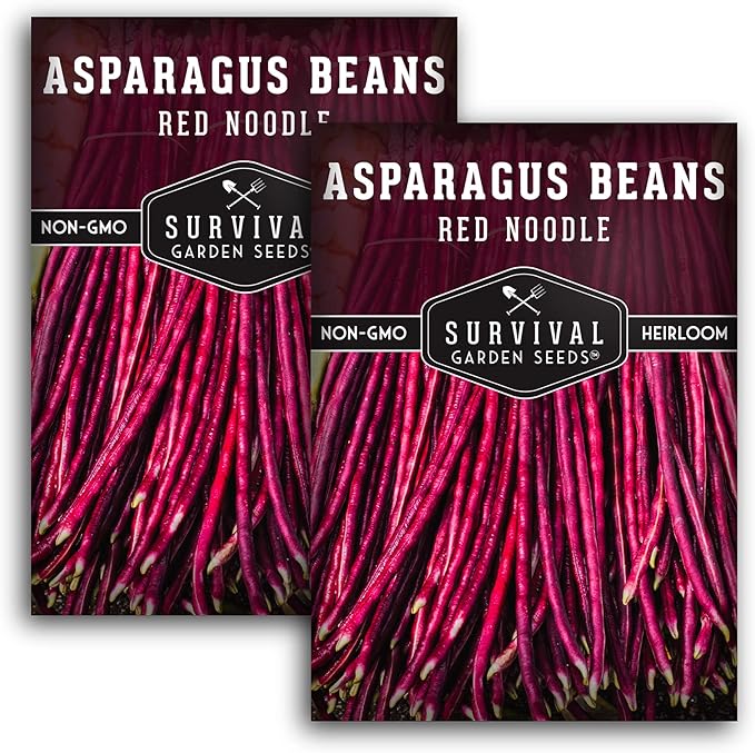 Survival Garden Seeds - Red Noodle Asparagus Bean Seed for Planting - 2 Packs with Instructions to Plant and Extremely Long Stringless Beans in Your Home Vegetable Garden - Non-GMO Heirloom Variety