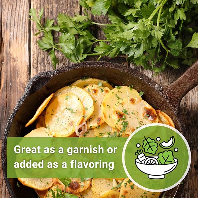 Sow Right Seeds - Flat Leaf Parsley Seed for Planting - Non-GMO Heirloom Packet with Instructions to Plant and Grow a Kitchen Herb Garden - Indoor or Outdoor - Great for Hydroponics Growing (1)