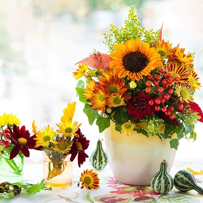 Durango Series Marigold Seeds – Red, 100 Seed Packet – Tagetes patula – Non-GMO, Open Pollinated – Perfect for Flower Gardening – High Germination Rate, Vibrant Red Blooms for Farm, Home, & Gardening