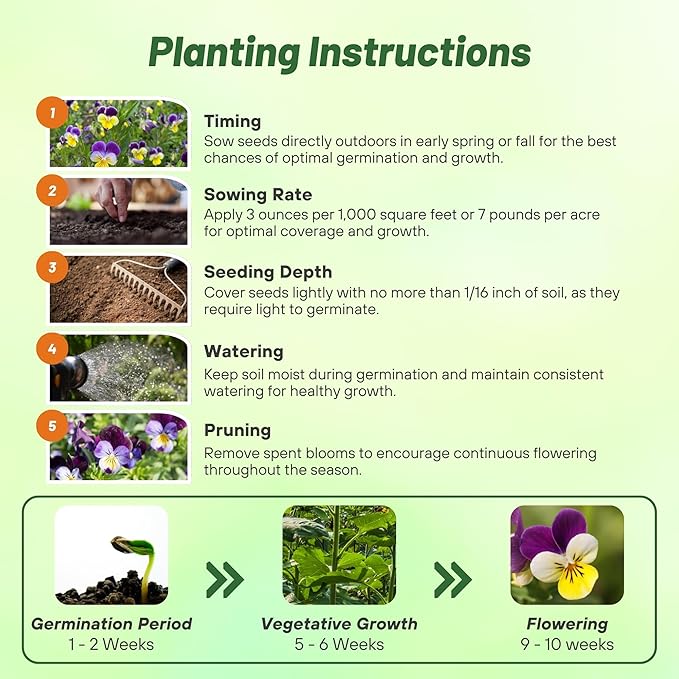 Outsidepride 1/2 lb. Perennial Viola Johnny Jump Up Flower Seeds for Planting