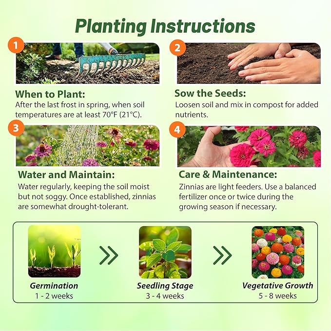 Outsidepride Zinnia Seeds - 1/4 Lb. Annual Blend of Hardy Compact Mixed Color Ball-Shaped Blooms for Planting in Outdoor Containers, Borders, Flower Beds, Cutting Gardens & Pollinator-Friendly Spaces