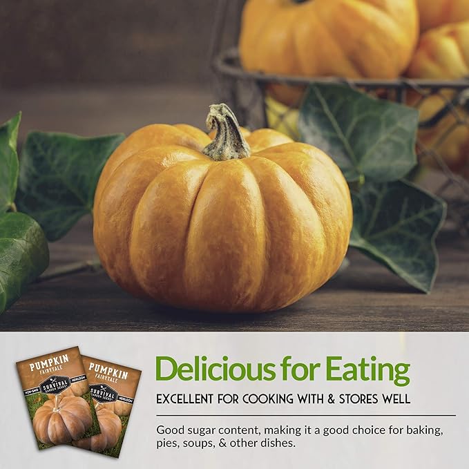 Survival Garden Seeds Fairy Tale Pumpkin Seeds for Planting – Packet with Instructions to Plant & Grow Pumpkins in Your Home Vegetable Garden - Non-GMO Heirloom Seeds