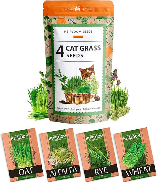 HOME GROWN Cat Grass Seeds - Grow Cat Grass for Indoor Cats - Cat Grass Seeds Bulk - Refill Cat Growing Grass Kit - Heirloom Cat Grass Seed (Cat Grass - 4pack)