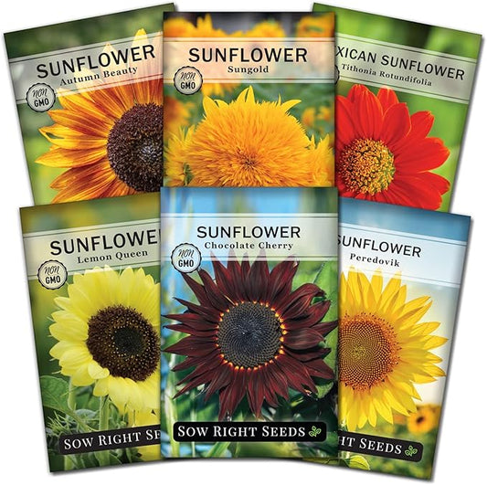 Sow Right Seeds - Large Sunflower Seed Collection for Planting - 6 Varieties of Sunflowers to Attract Pollinators - Non-GMO Heirloom Packet with Instructions to Plant & Grow - Giant Summer Blooms