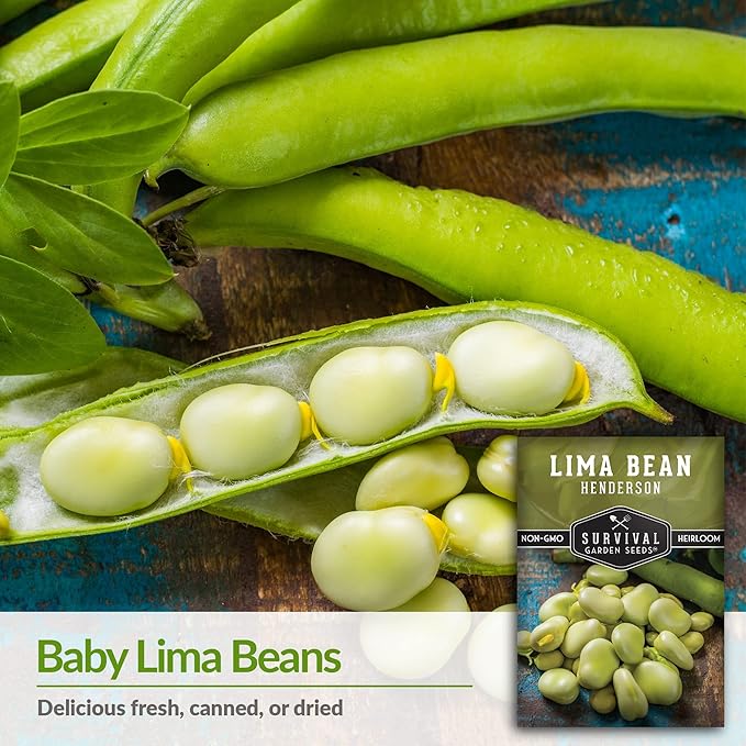 Survival Garden Seeds - Henderson Lima Bean Seed for Planting - 3 Packs with Instructions to Plant and Grow Tender White Butter Beans in Your Home Vegetable Garden - Non-GMO Heirloom Variety