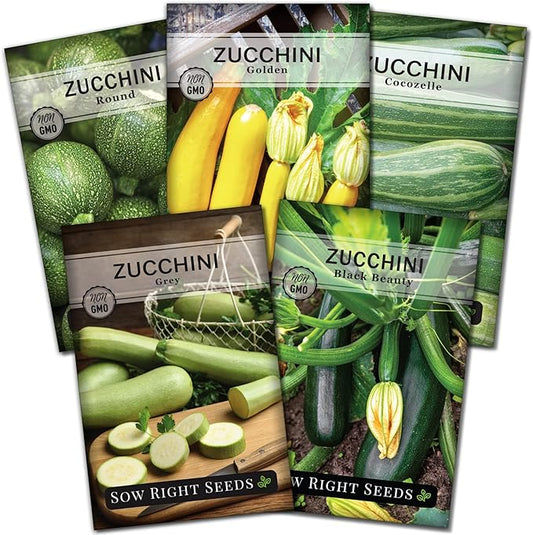 Sow Right Seeds - Zucchini Squash Seed Collection for Planting - Black Beauty, Grey, Round, Golden, and Cocozelle - Non-GMO Heirloom Packet to Plant a Vegetable Garden - Productive Summer Squash