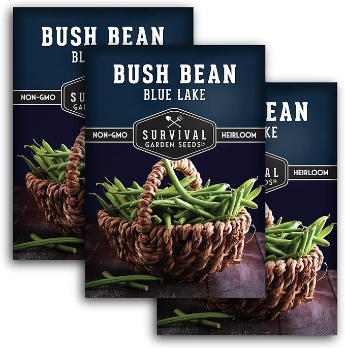 Survival Garden Seeds - Blue Lake Bush Bean Seed for Planting - 3 Packets with Instructions to Plant & Grow Green Stringless Snap Beans in Your Home Vegetable Garden - Non-GMO Heirloom Variety