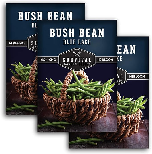 Survival Garden Seeds - Blue Lake Bush Bean Seed for Planting - 3 Packets with Instructions to Plant & Grow Green Stringless Snap Beans in Your Home Vegetable Garden - Non-GMO Heirloom Variety