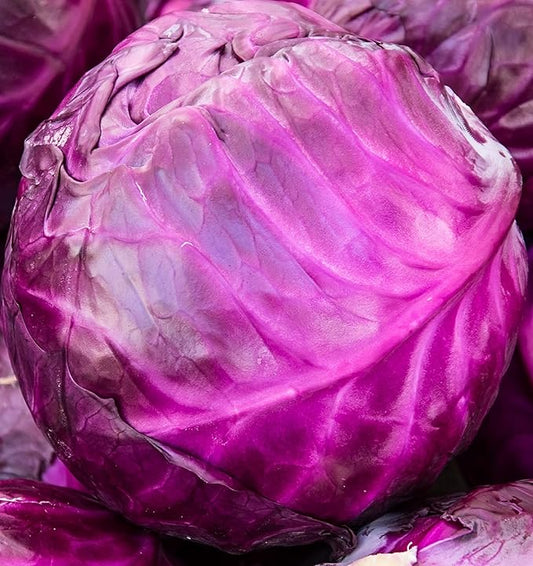 Cabbage Seeds for Planting - Plant & Grow Red Acre Cabbage in Your Home Outdoor Vegetable Garden - Heirloom Non GMO Planting Packets with Full Instructions - Great Gardening Gift, 5 Packets